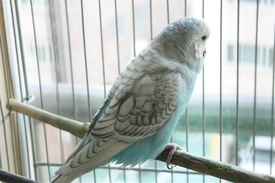 122_dksehd2468.jpg?type=w3