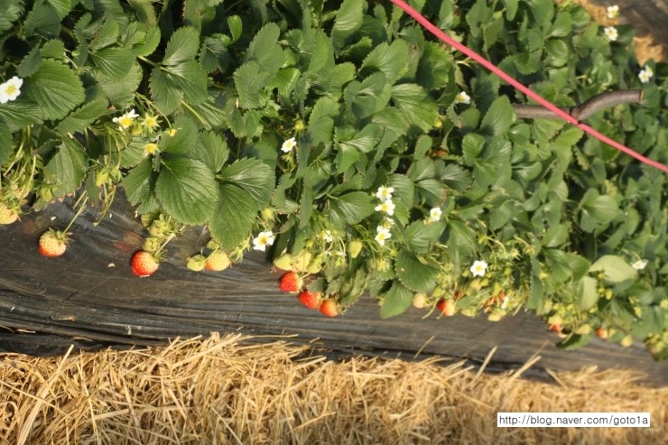 IMG_9214.JPG?type=w2