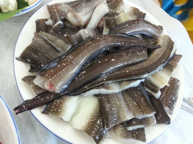 통영장어 이미지