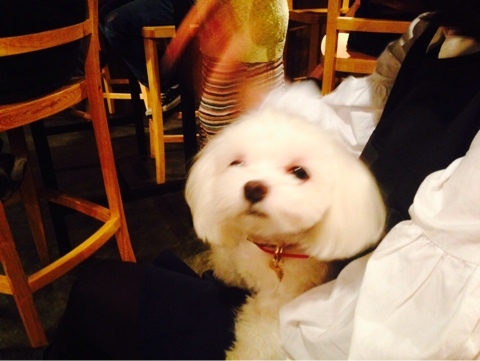 NaverBlog_20140513_221616_26.jpg?type=w3