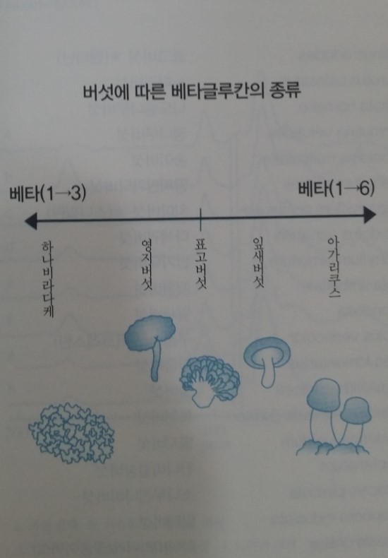 (주)글루칸 이미지