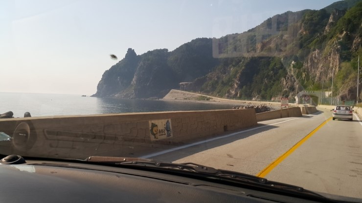 도일렌터카 이미지
