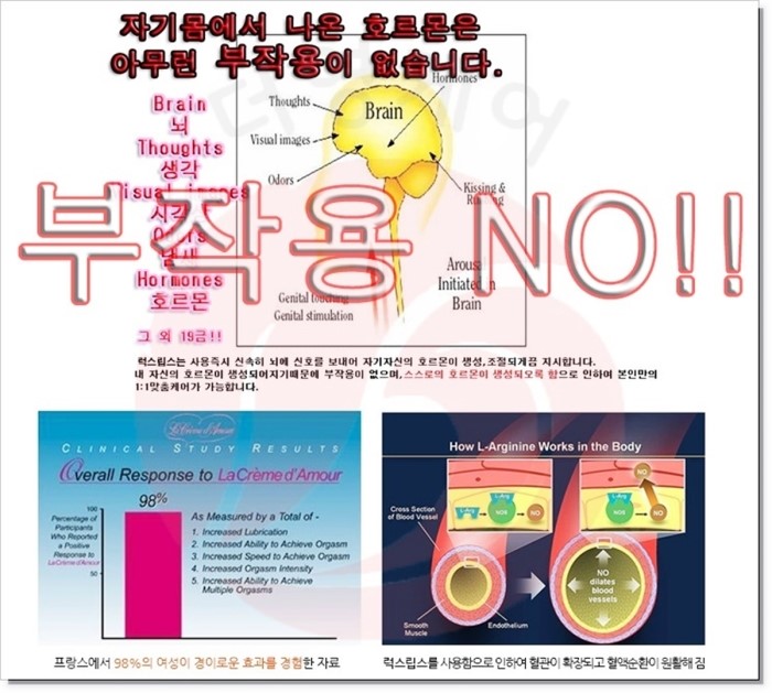 염색 전 트리트 먼트 hematoxylin 염색