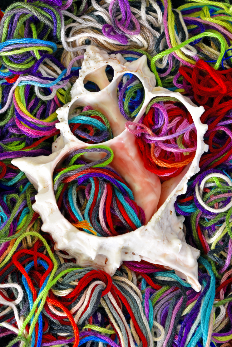 f017_mike_moats_cutshellstring_201512229