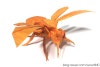 satoshi kamiya wasp 2.6 video satoshi kamiya wasp 2.6 video
