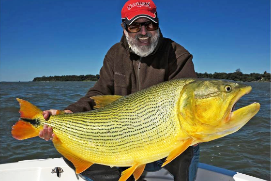 Dorado 도라도 해외낚시 아르헨티나 낚시 : 네이버 블로그