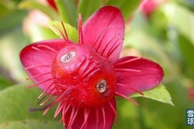 Related image
