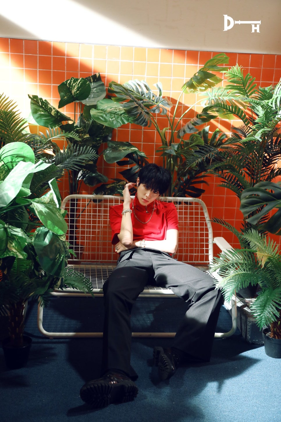 KDH_MV_6.jpg?type=w966