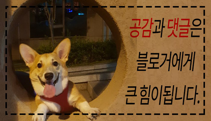 플로정아 이미지