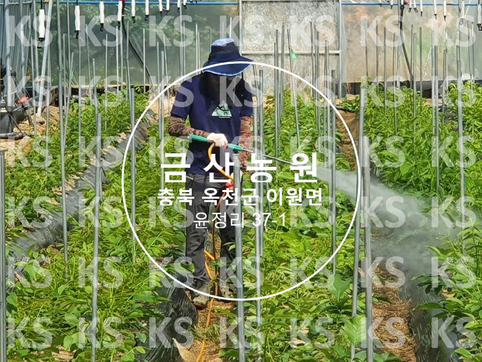 태산방제 이미지