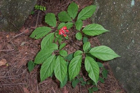 %BB%EA%BB%EF_1-n460330.jpg?type=w2