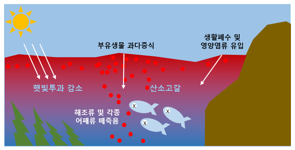 [적조현상] 수질의 불청객 붉은 물, 적조 : 네이버 블로그